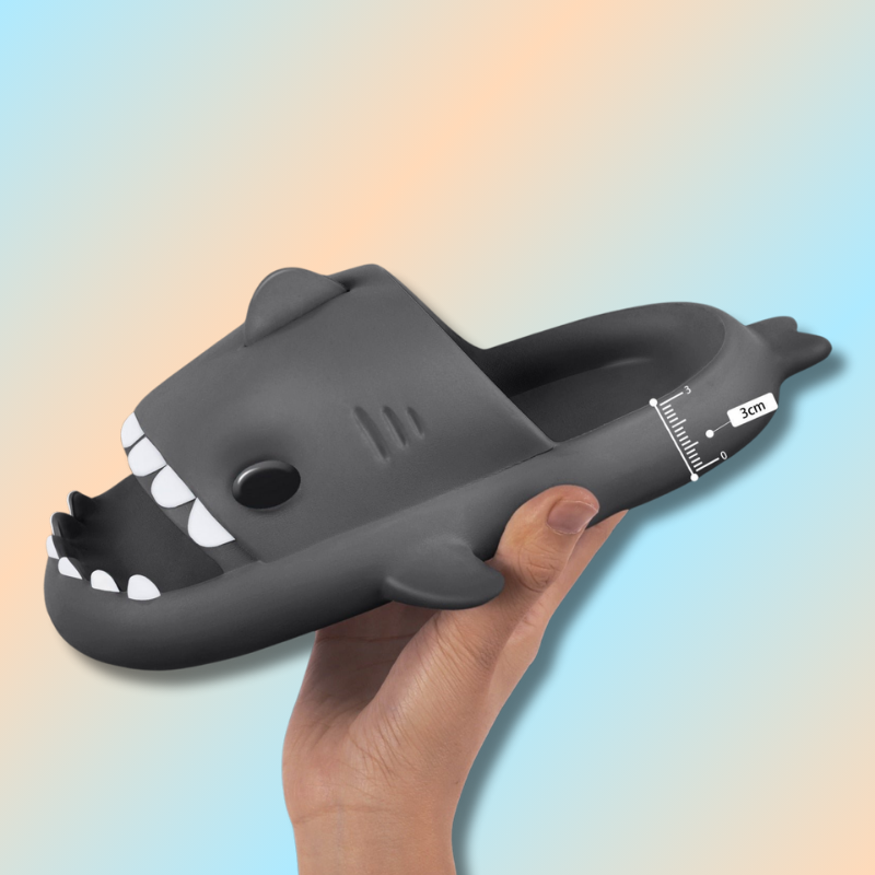 Claquette requin
