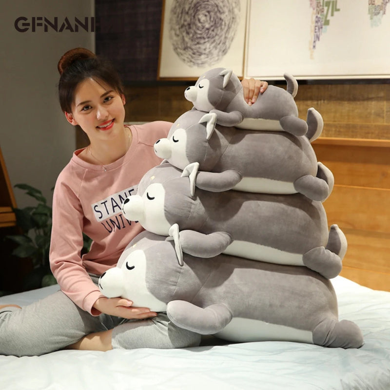 Kawaii Corgi et Shiba Inu en Peluche