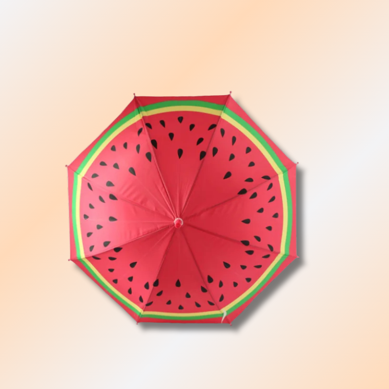 Kawaii Long Handle Umbrella