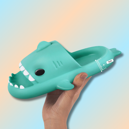 Claquette requin
