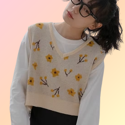 Kawaii Crop Knit Vest