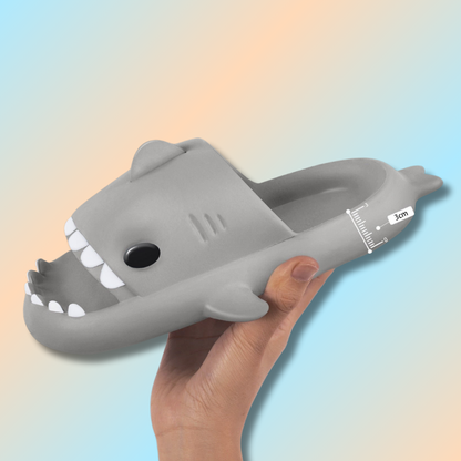 Claquette requin
