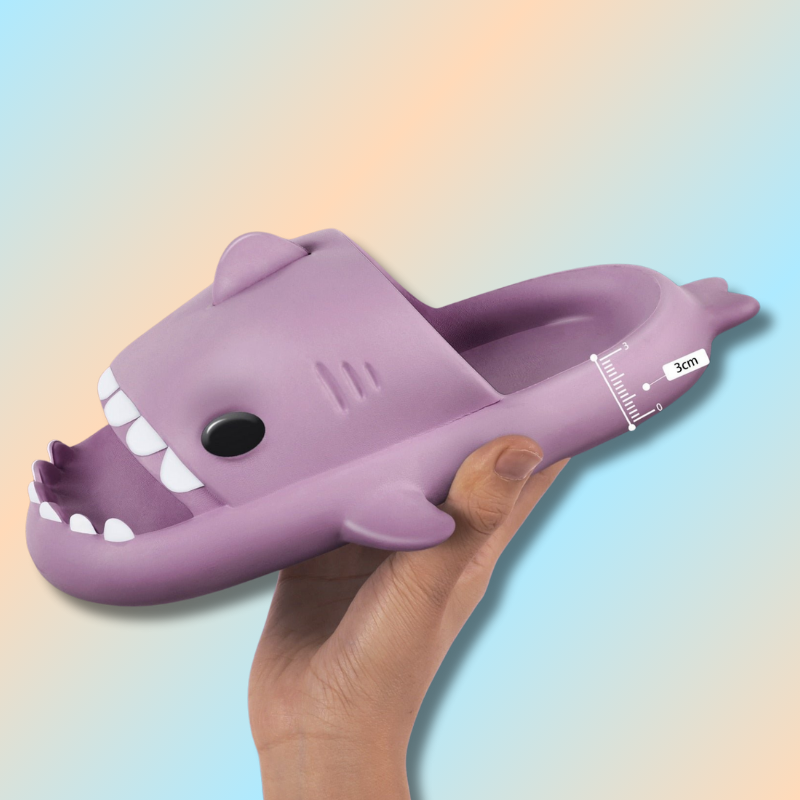 Claquette requin