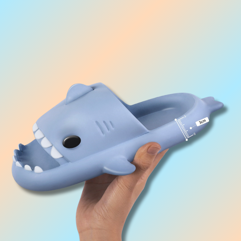 Claquette requin