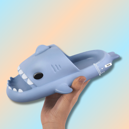 Claquette requin