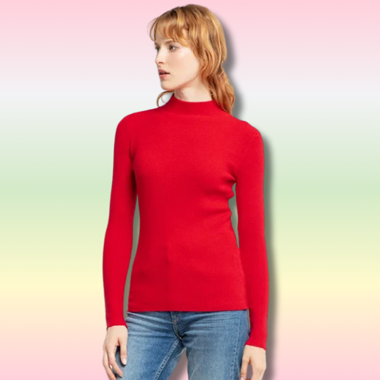 Pull Coréen à Col Roulé Femme
