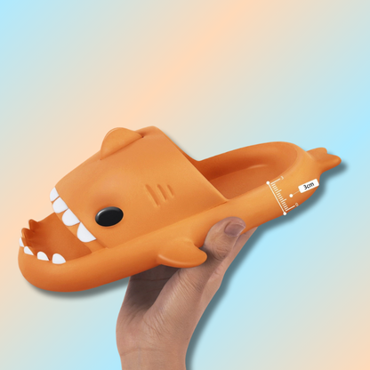 Claquette requin