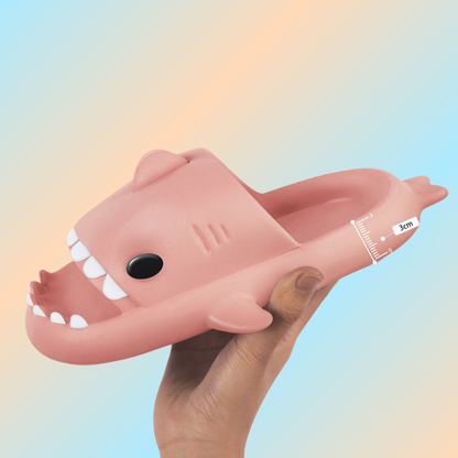 Claquette requin