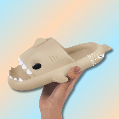 Claquette requin