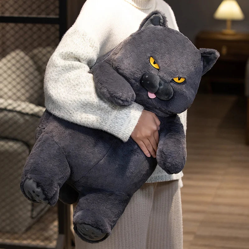 Peluche Kawaii Gros Chat