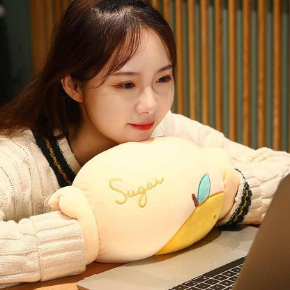 Peluche Kawaii Bonbon Chauffe Mains